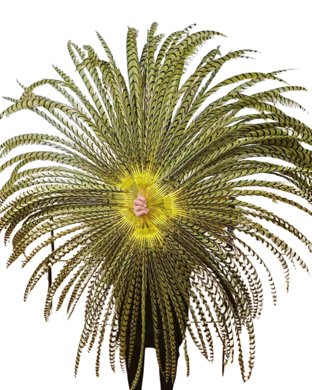 BurlyLuxe Pheasant Feather Fan – handcrafted burlesque performance fan