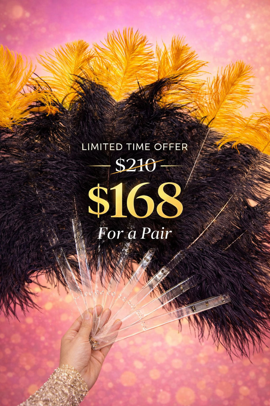 Single Layer Beginner’s Ostrich Feather Fan – Accent Dye Edition 24" × 41"