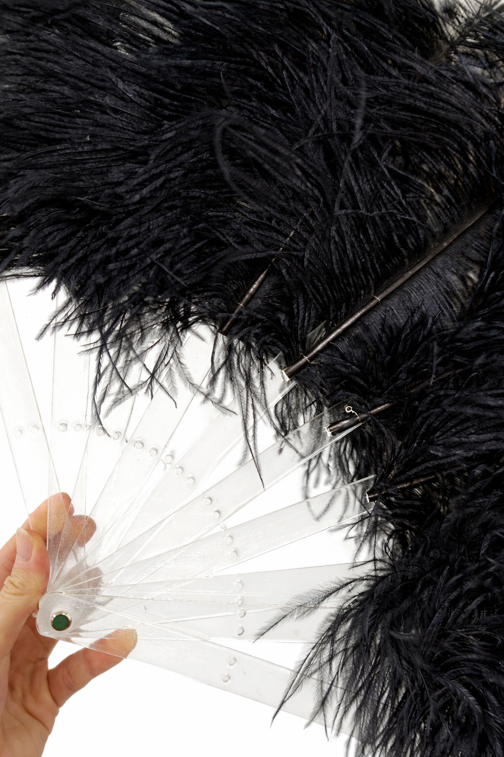 Single Layer Beginner’s Ostrich Feather Fan – Accent Dye Edition 24" × 41"