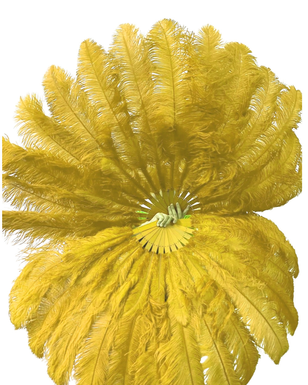 The Half-Moon Advanced Fan -  180°  2 Layer Ostrich Feather Fan 30"x60"