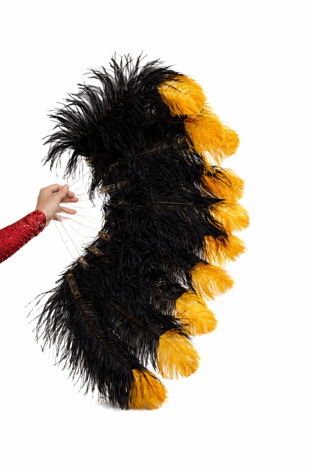 Single Layer Beginner’s Ostrich Feather Fan – Accent Dye Edition 24" × 41"