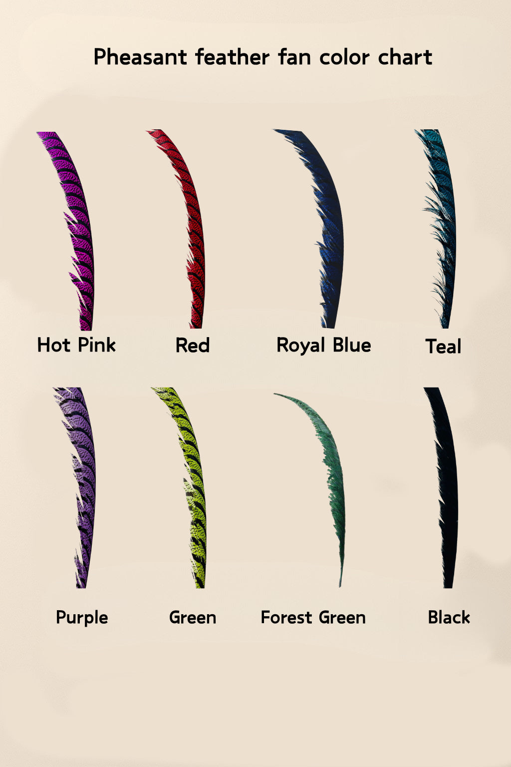 Luxury Tall Pheasant Feather Fan 37"x69