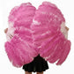 Single Layer Beginner’s Double-Sided Stage Ostrich Feather Fan 25"x 47"