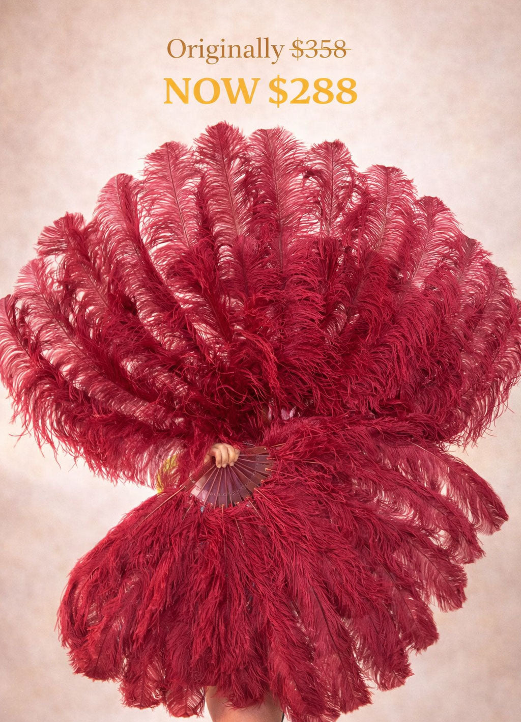 Burgundy 2 Layer Professional Ostrich Feather Fan – 34"x60"
