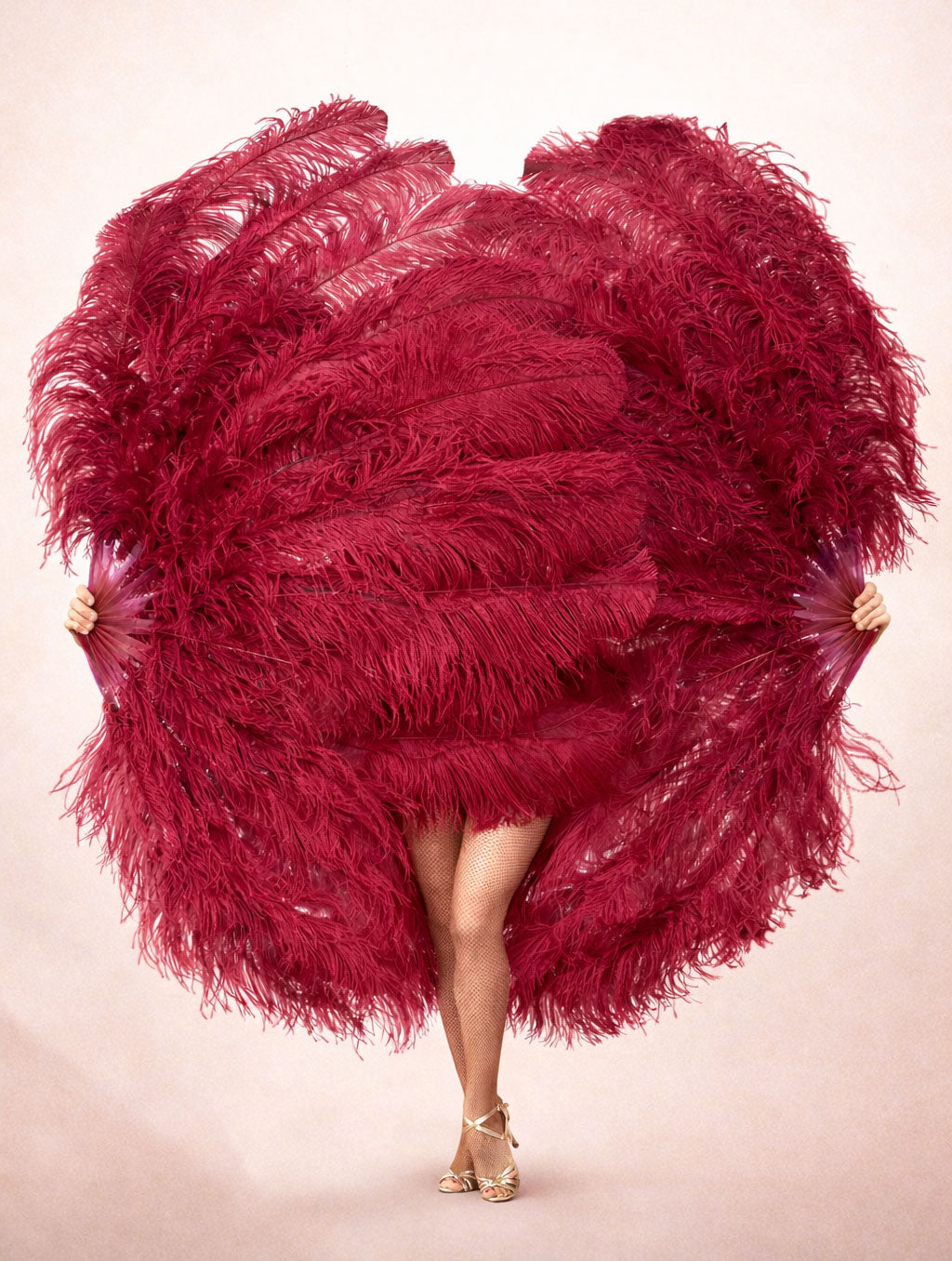 Burgundy 2 Layer Professional Ostrich Feather Fan – 34"x60"