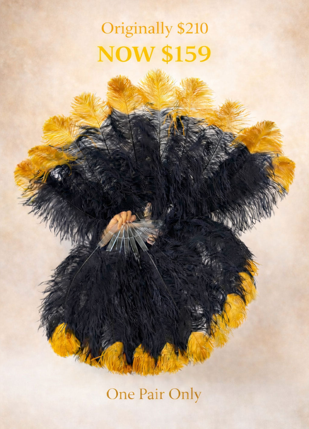 Single Layer Beginner’s Ostrich Feather Fan – Accent Dye Edition 24" × 41"