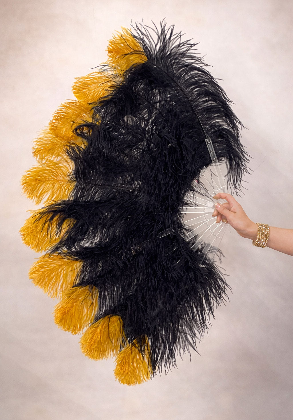 Single Layer Beginner’s Ostrich Feather Fan – Accent Dye Edition 24" × 41"