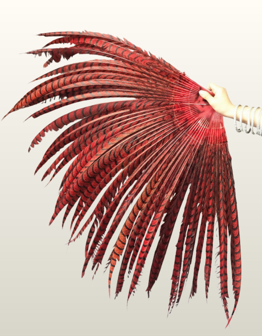 Luxury Tall Pheasant Feather Fan 37"x69