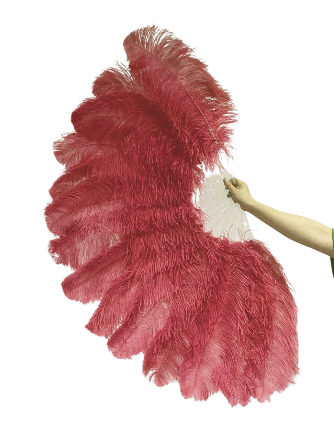 The Half-Moon Beginner's Double-Sided Stage Fan - 180° Single Layer Ostrich Feather Fan 25"x52"