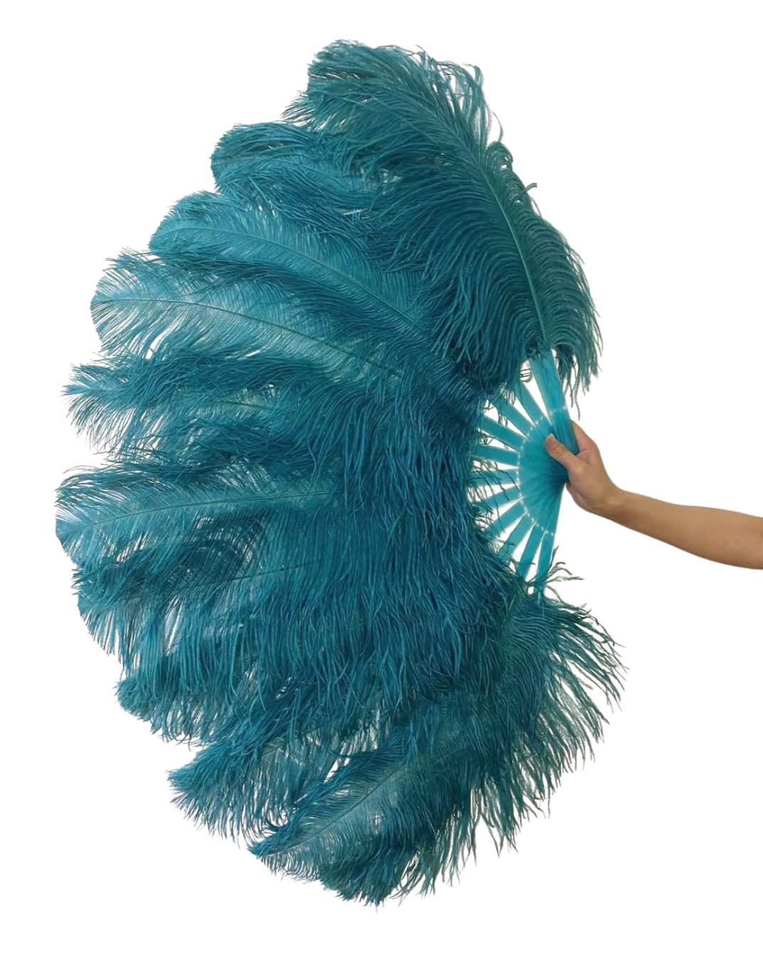 Single Layer Beginner’s Ostrich Feather Fan 25"x 45"